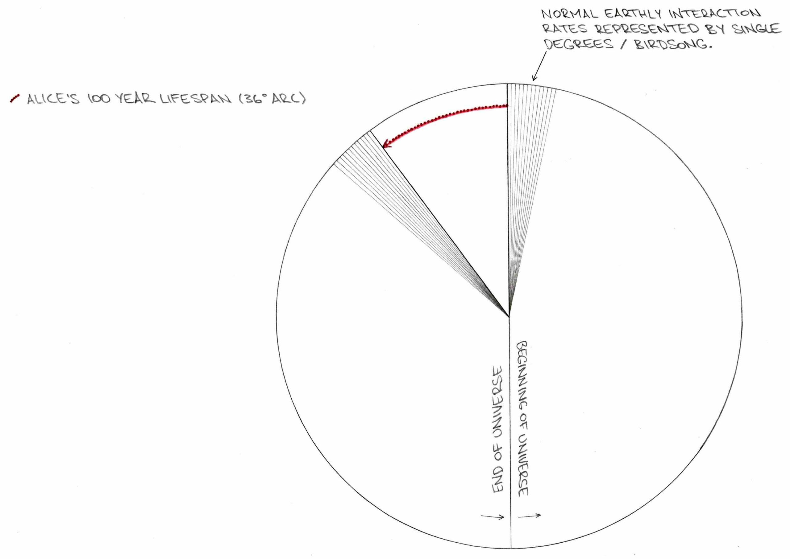 Figure 5.4 Time Disc - Alice's Lifespan