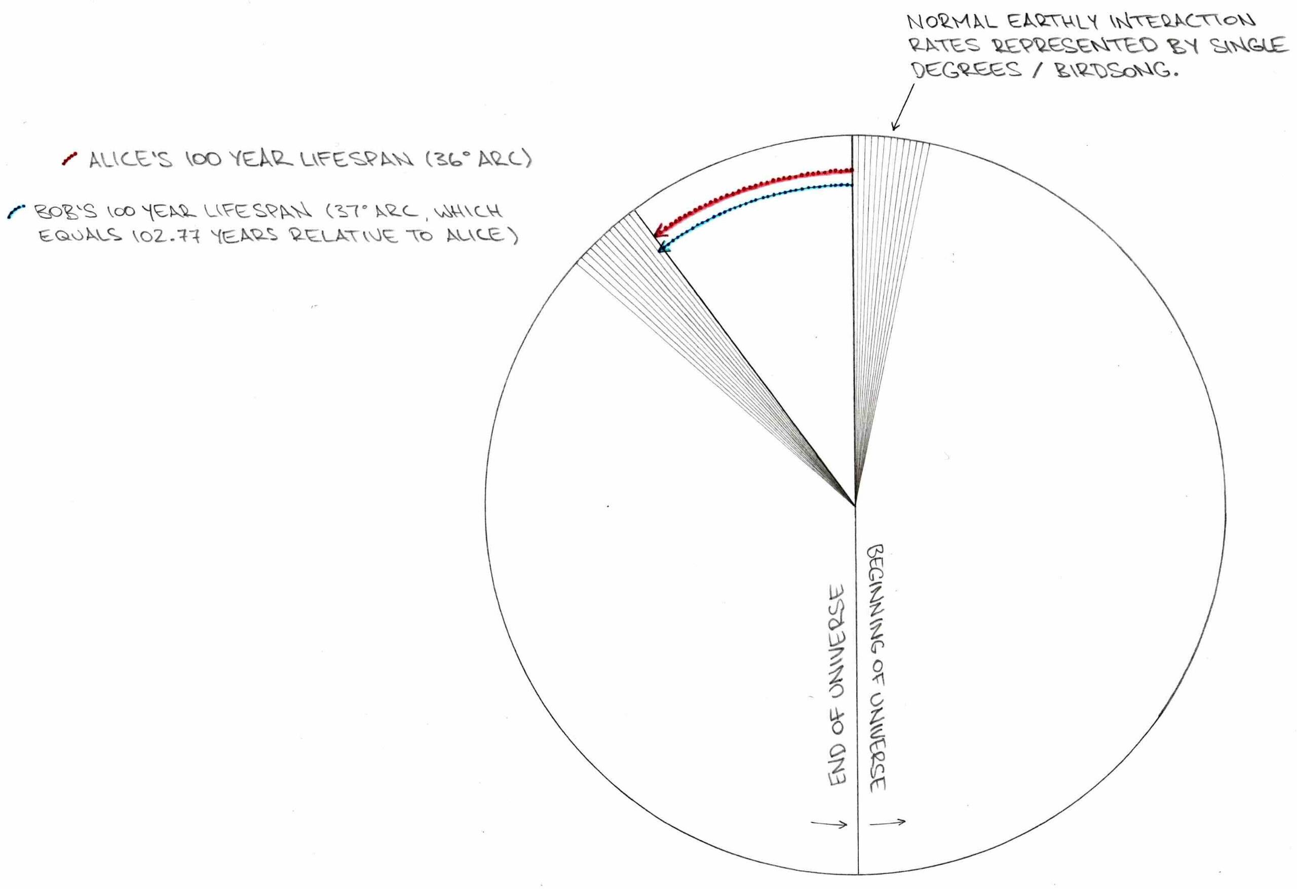 Figure 5.5 Time Disc - Bob's Lifespan